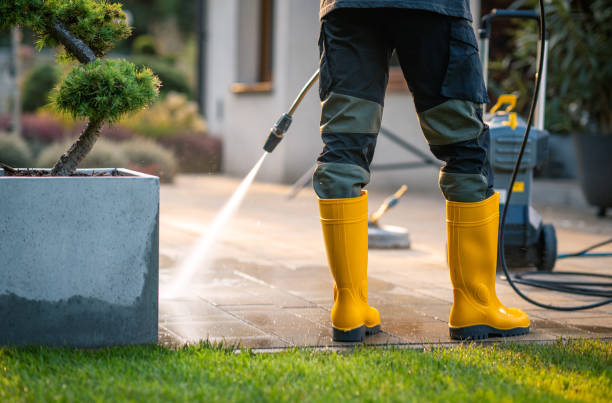 Best Commercial Building Pressure Washing  in Medford, NY